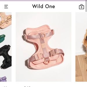 Wild one dog harness in blush size small